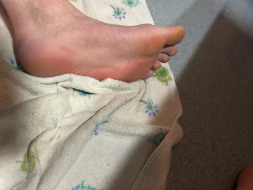 IMG_3044-Medium7ead25d0ce29787d.md.png