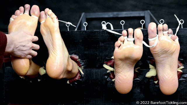 20220115%20151359%203.gif