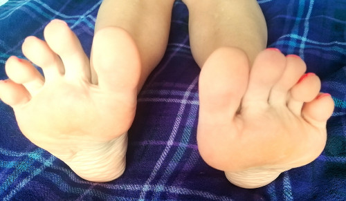47995eae3479654e8.md.jpg