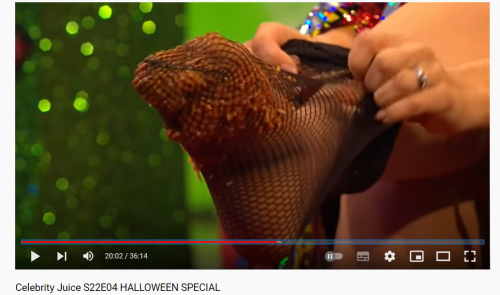 Celebrity-Juice-S22E0469b2c1125092f099.md.png